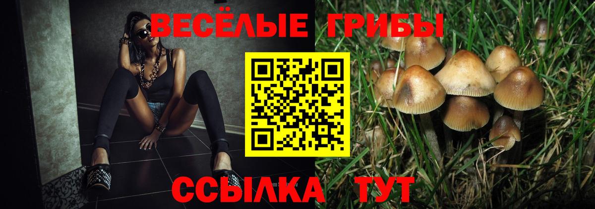 Галлюциногенные грибы мицелий Благодарный